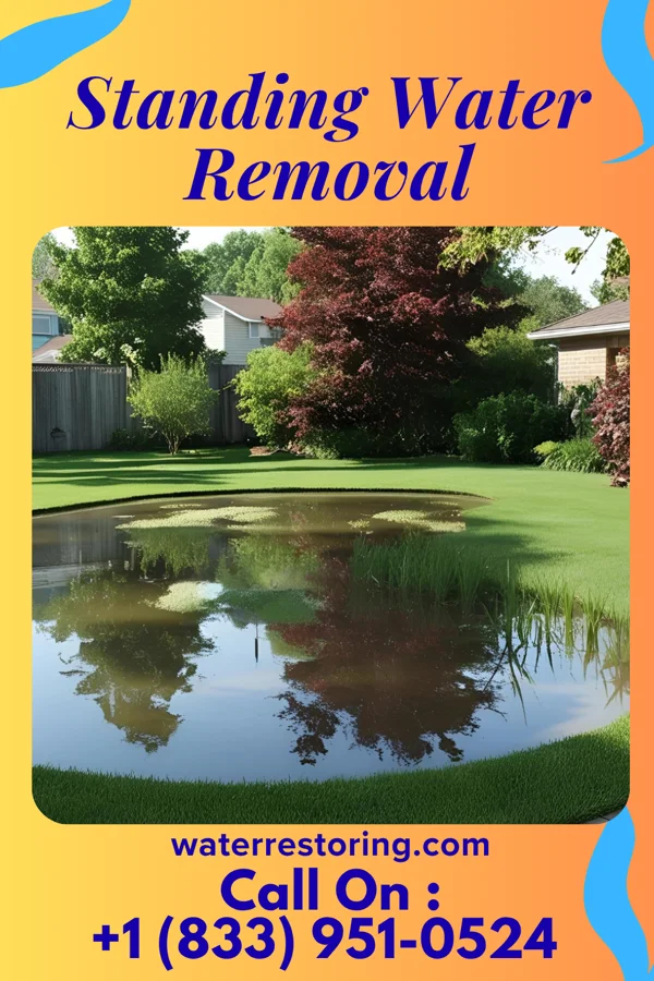 Standing Water Removal in Lewisburg, OH